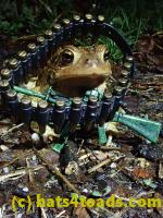 /home//u458753944/public_html/sourcegallery///////Roxborough Toad Detour/2021/2021-03-31/P3310147.JPG
